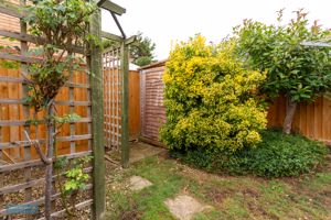 Garden- click for photo gallery